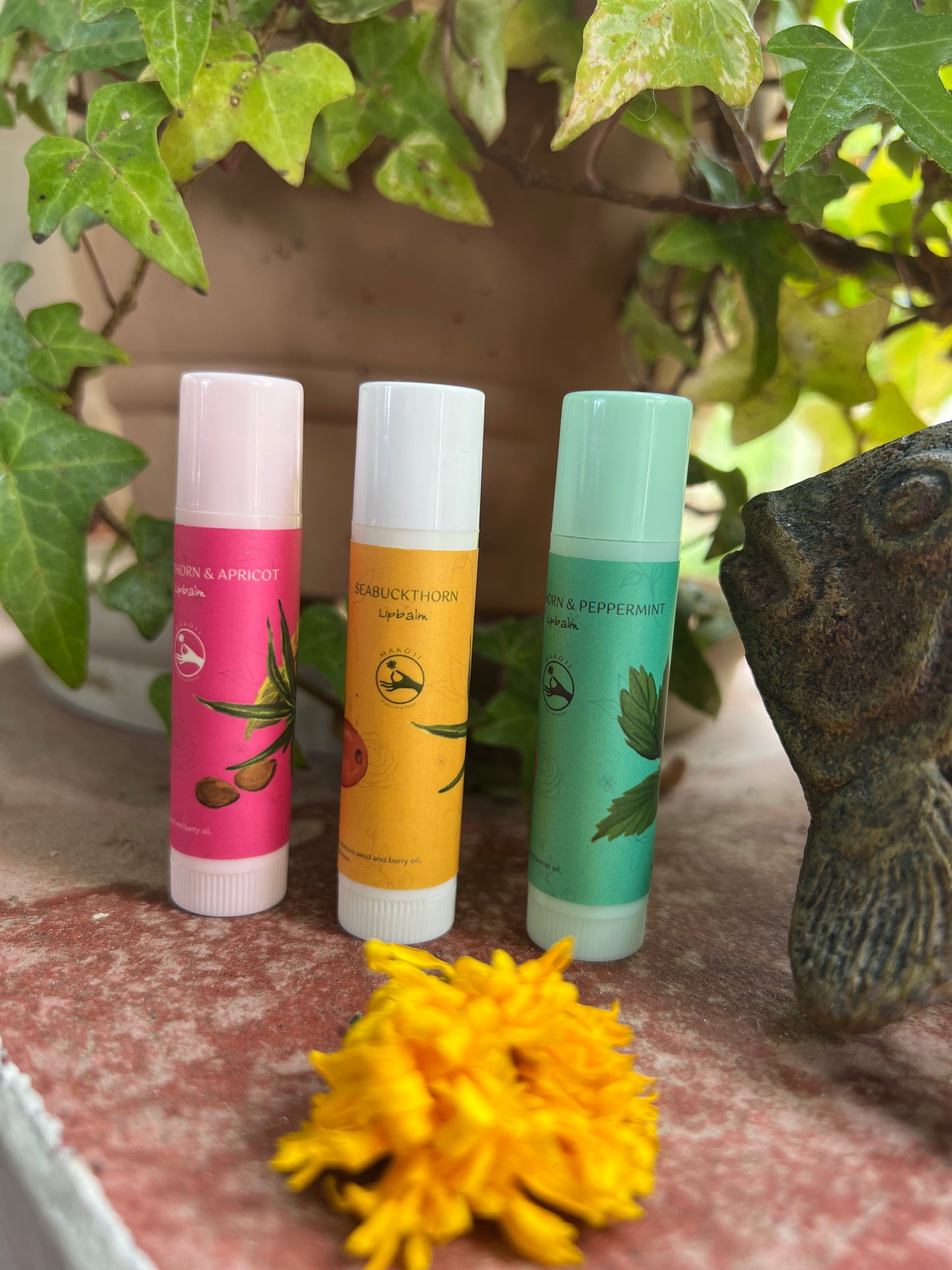 Seabuckthorn Lip Balm - makoiiapothecary