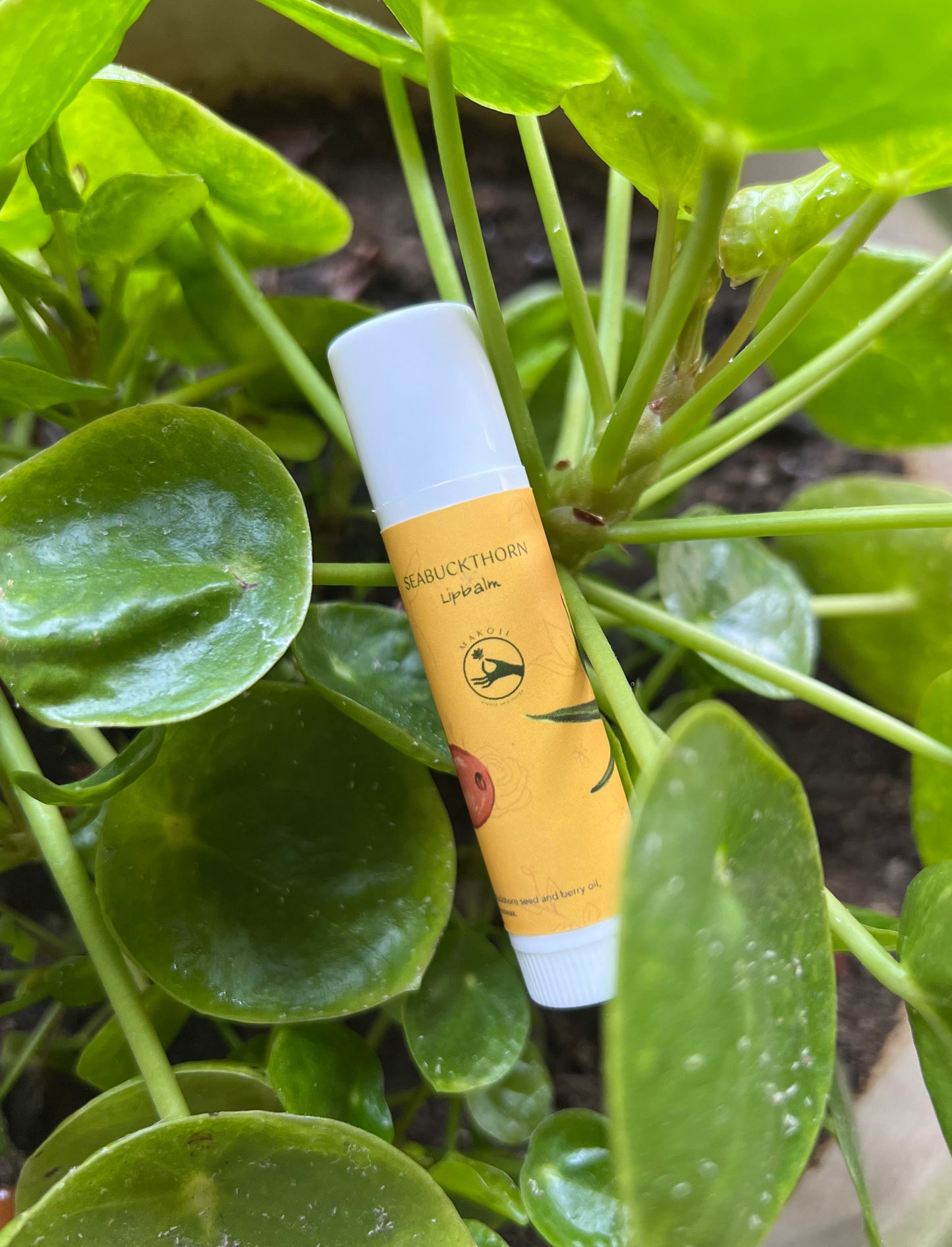 Seabuckthorn Lip Balm - makoiiapothecary