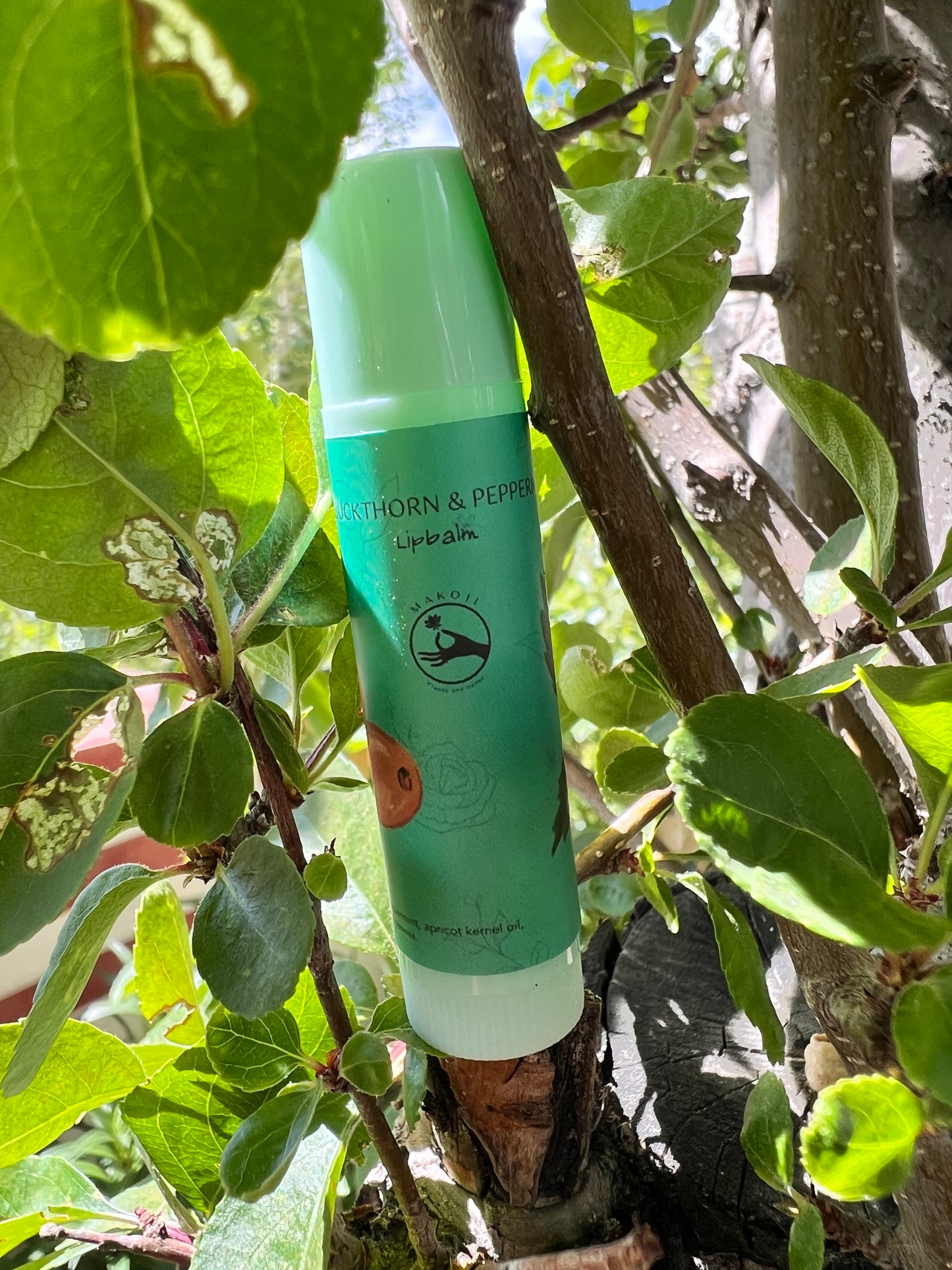 Seabuckthorn & Peppermint Lip Balm - makoiiapothecary