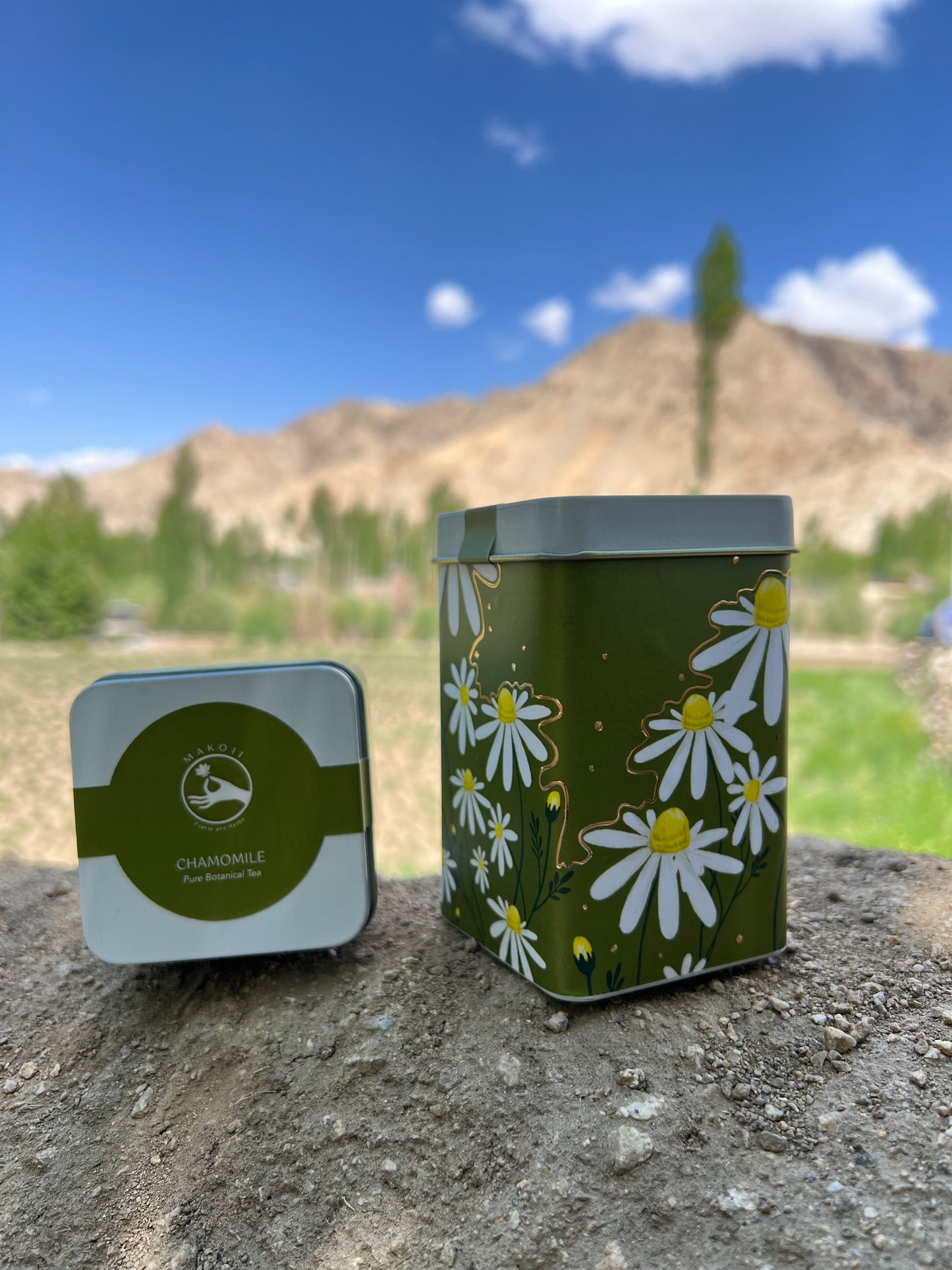 Chamomile Pure Botanical Tea - makoiiapothecary