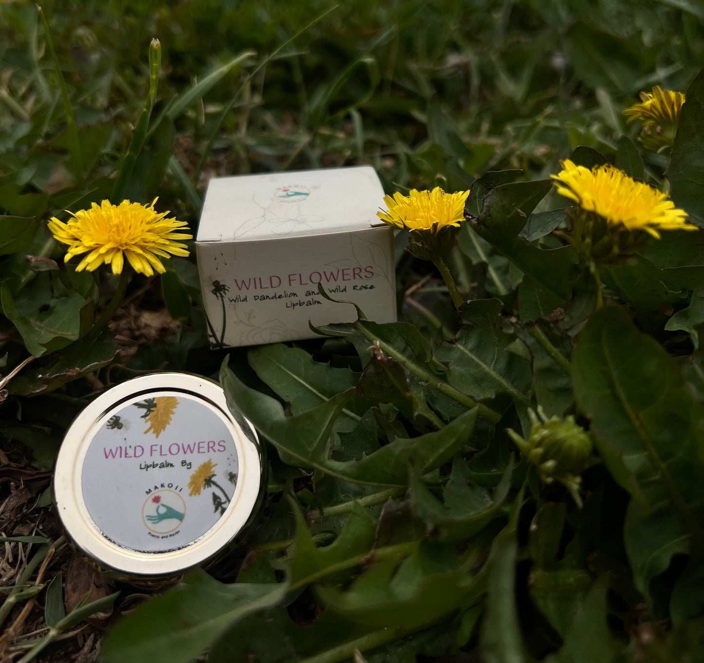Wild Flowers Lip Balm - makoiiapothecary