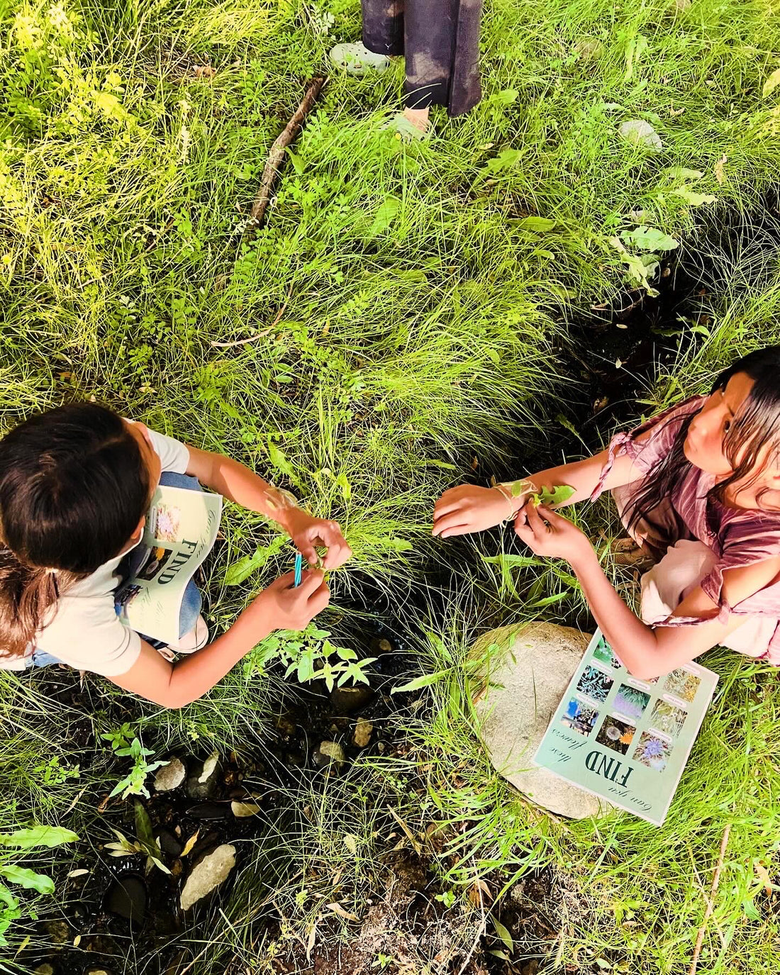 Roots to Roots: Exploring Village Flora with Kids