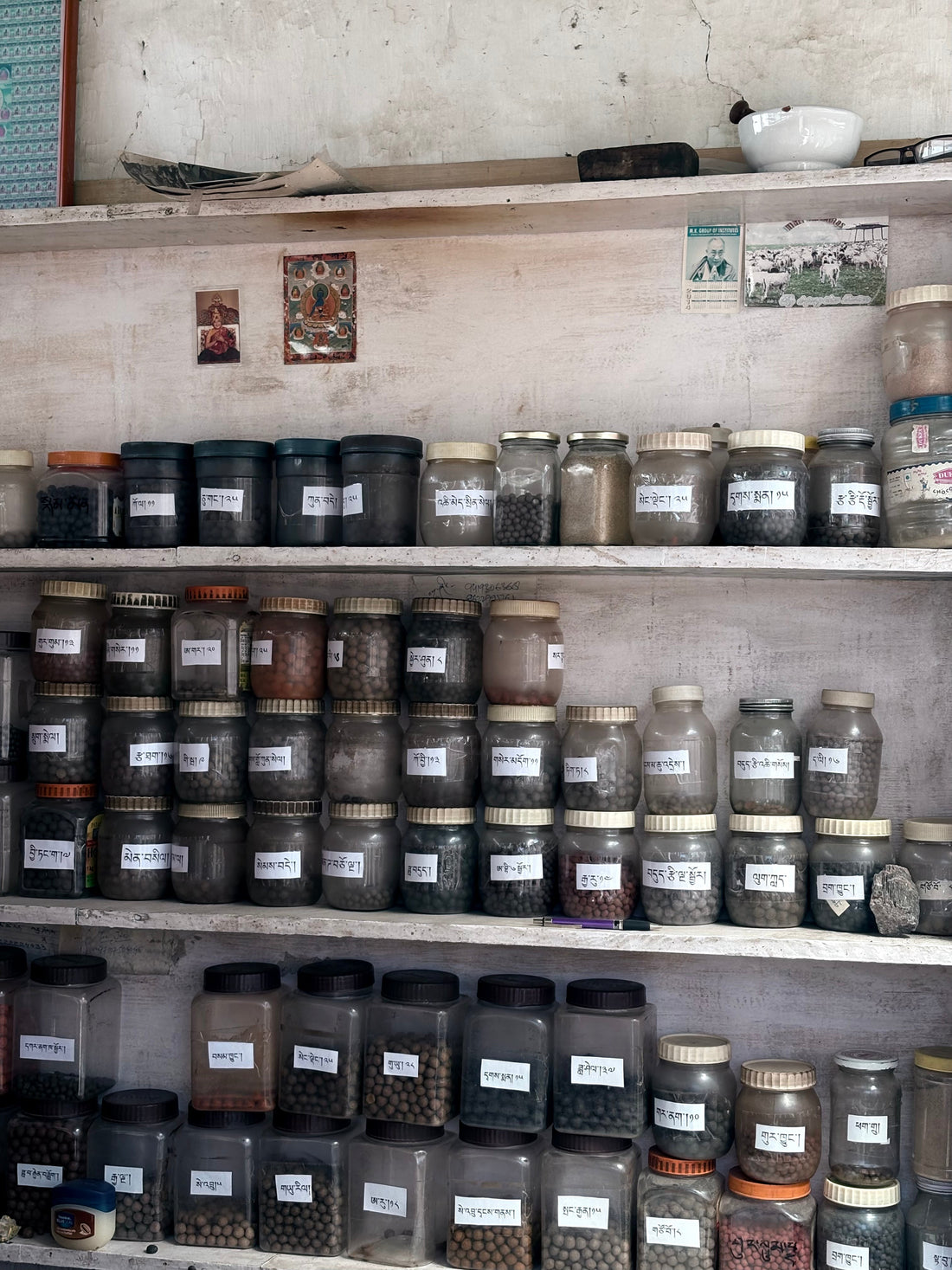 The Need To Return To Wholeness: Why Traditional Himalayan Medicine Matters Now More Than Ever