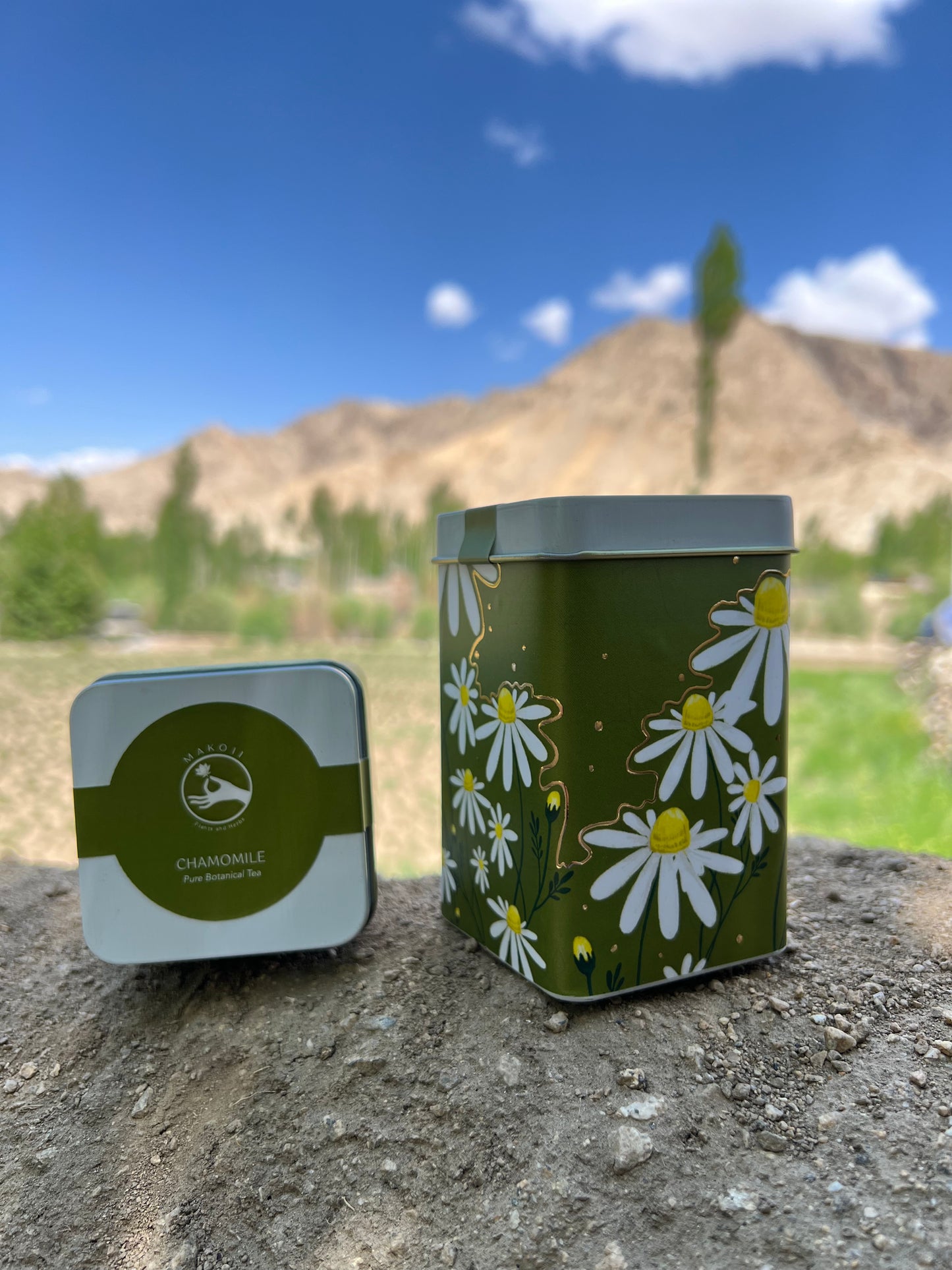 Chamomile Pure Botanical Tea